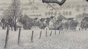 Toine Corstjens - Hoogstam kopen? Bied vanaf 195!