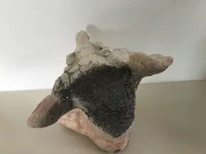 Niet of onleesbaar gesigneerd - Voettrol. kopen? Bied vanaf 1!