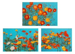 Peter Heij - Papavers 1, 2, 3 (serie 3 stuks) kopen? Bied vanaf 95!