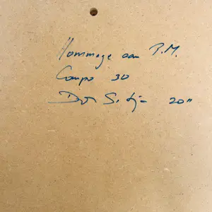 Don Satijn - hommage aan P.M. comp 30 (wandobject) kopen? Bied vanaf 195!