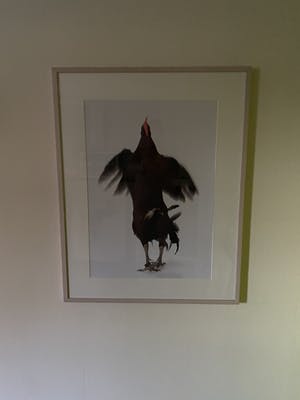 Koen Vanmechelen - Fighter 49/75 kopen? Bied vanaf 750!