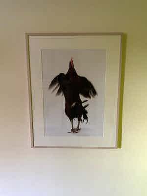 Koen Vanmechelen - Fighter 49/75 verkocht voor € 750!