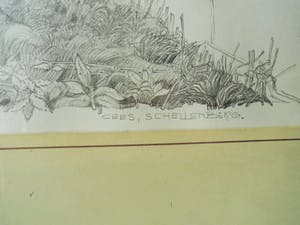 Cees Schellenberg - Tekening - Mariapolder Dordrecht kopen? Bied vanaf 60!