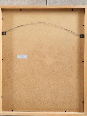 Diana van Hal - So many ways to catch fish 6. kopen? Bied vanaf 59!