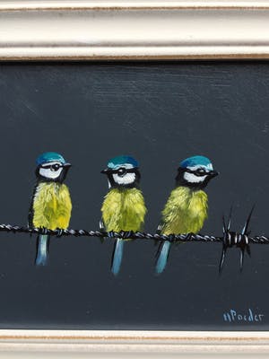 Henk Poeder - Mezen kopen? Bied vanaf 69!