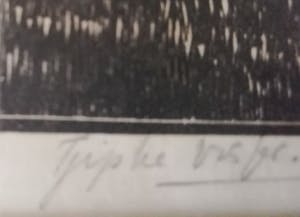 Tjipke visser - " De Nok " te Bergen Noord Holland..... kopen? Bied vanaf 90!