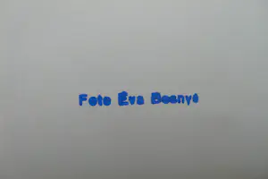 Eva Besnyo - Mit anderen Augen Berlin 1930-32 + Orignele foto van Besnyö kopen? Bied vanaf 50!
