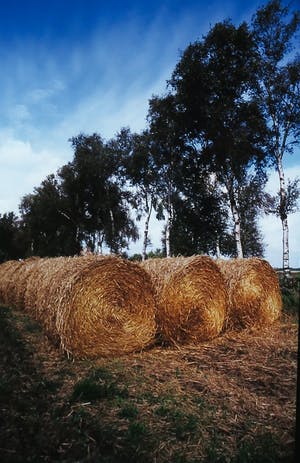 Paul Huf - Foto, Holland, Drenthe, Van Gogh's footsteps - Ingelijst kopen? Bied vanaf 1!