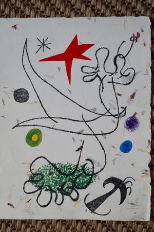 Joan Miro - onbekend kopen? Bied vanaf 1!