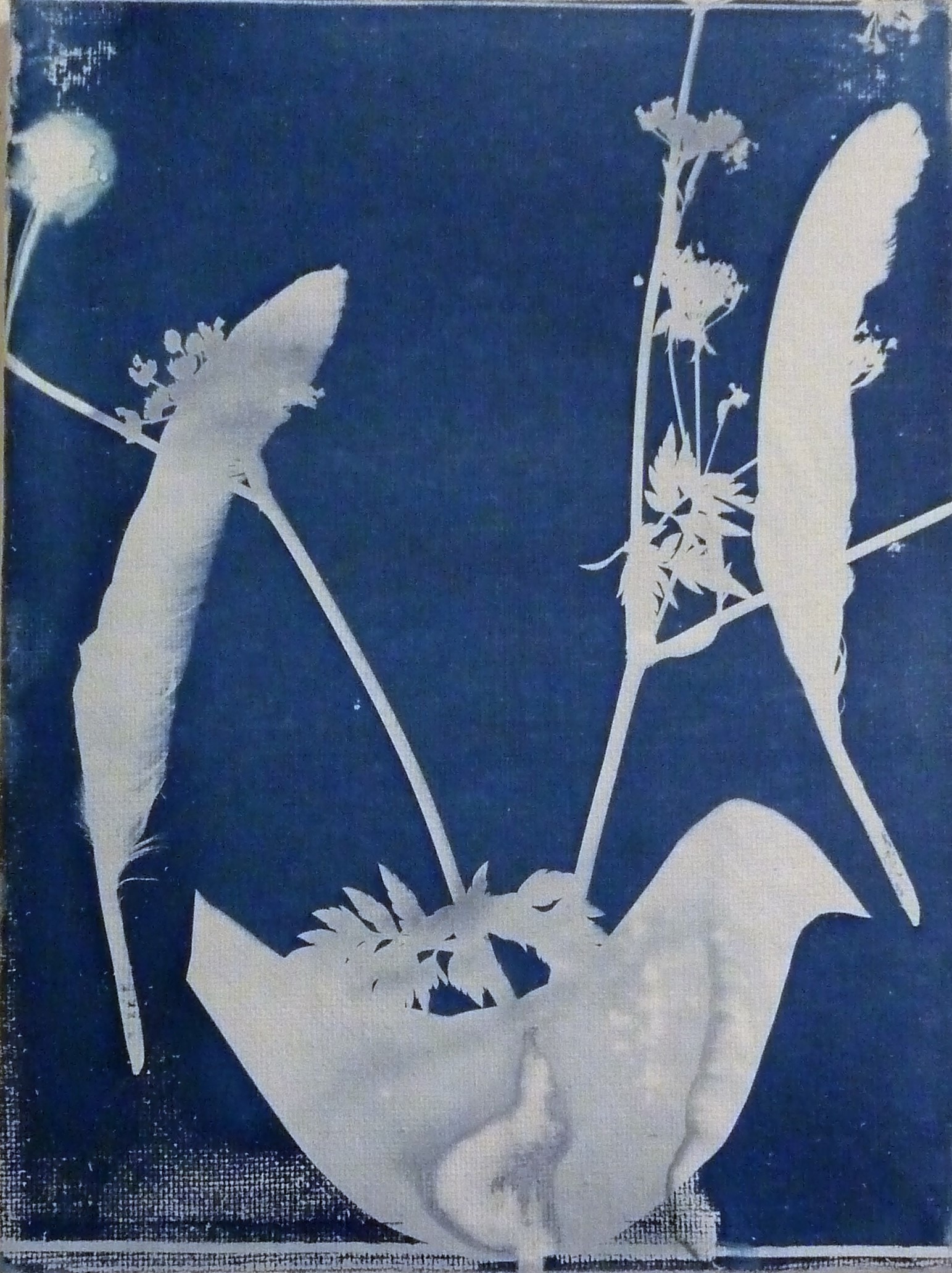 Irene van den Bos - Bird with branches. kopen? Bied vanaf 40!