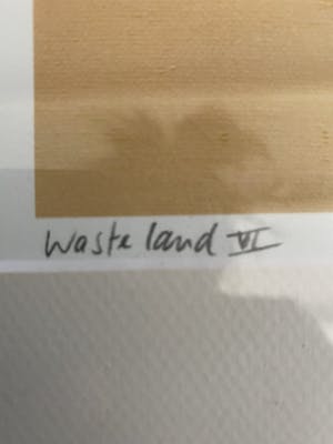 Hans Paus - Wasteland VI kopen? Bied vanaf 25!