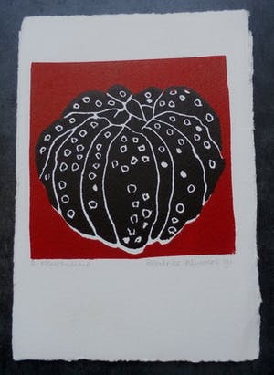 Beatrice Kluivers - 2-kleurenlino - 1991 kopen? Bied vanaf 35!
