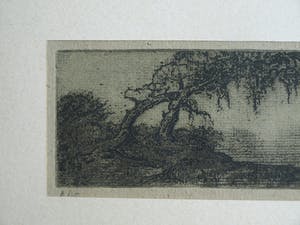 Jan Coenraad Nachenius - Ets , Landschap met boom – ca. 1945 kopen? Bied vanaf 1!