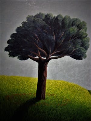 Erna van Mondfrans - Fraai verstild realistisch olieverf "Parasolbomem in Landschap" gesigneerd kopen? Bied vanaf 80!