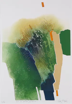 Francis Mean - Kleurenets, Abstract landschap - Ingelijst kopen? Bied vanaf 50!