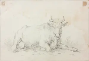 Niet of onleesbaar gesigneerd - (18e -eeuwse) potloodtekening, Rund kaufen? Bieten Sie von 1!