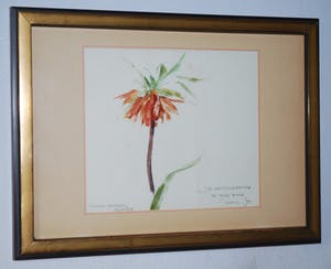 Maria Hofker - Rueter - Keizerskroon - aquarel 1971 - plus 2 boeken, 1x gesigneerd kopen? Bied vanaf 85!