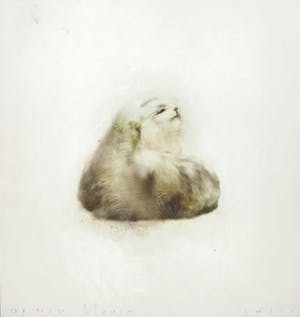 Chris Berens - Gicleedruk, Bleach kopen? Bied vanaf 150!