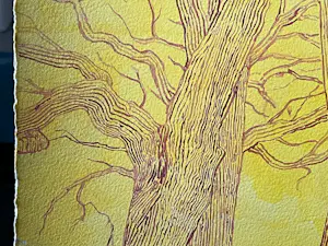 Ger Daniels - Boom in bruin en geel kopen? Bied vanaf 40!