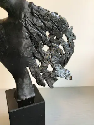 Buy Bernadette Leijdekkers - “ Visie op de toekomst “ zeldzaam? Bid from 219!
