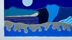 Ronald Boonacker - Aruba kopen? Bied vanaf 45!