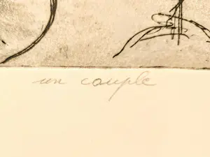 Roger Somville - Een stel + een geïllustreerd boek over Somville Roger. kopen? Bied vanaf 89!