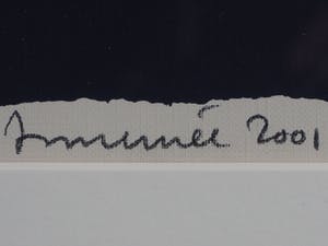 Hans Innemee - Kwaak, kwaak kopen? Bied vanaf 50!