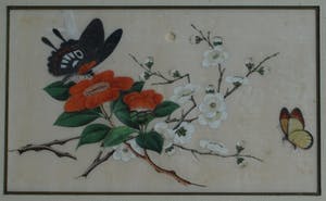 Niet of onleesbaar gesigneerd - 2 Oude ingelijste gouaches (?) op papier , Vlinders kopen? Bied vanaf 1!