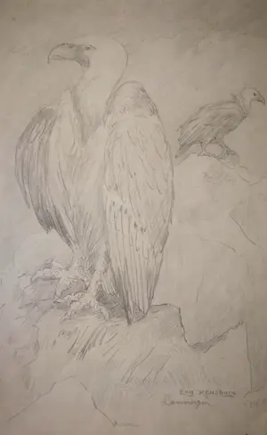 Eugene Rensburg - Lammergier. kopen? Bied vanaf 59!