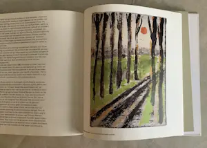 Leon Adriaans - Het leven schilderen is pakkend! kopen? Bied vanaf 50!