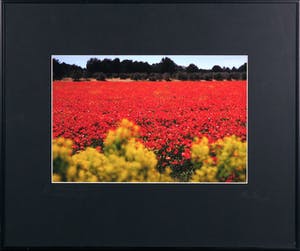 Paul Huf - France, Aples van Gogh's Footsteps - Ingelijst kopen? Bied vanaf 1!