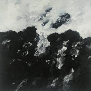 Armando - Giclée in zwart wit - 'Landscape' - 2016 - 30/30 - Gesigneerd kopen? Bied vanaf 125!