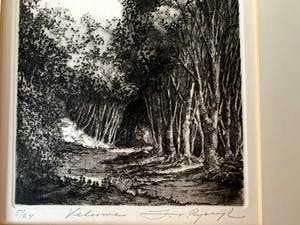 Jan van Rijsewijk - "Veluwe" kopen? Bied vanaf 35!