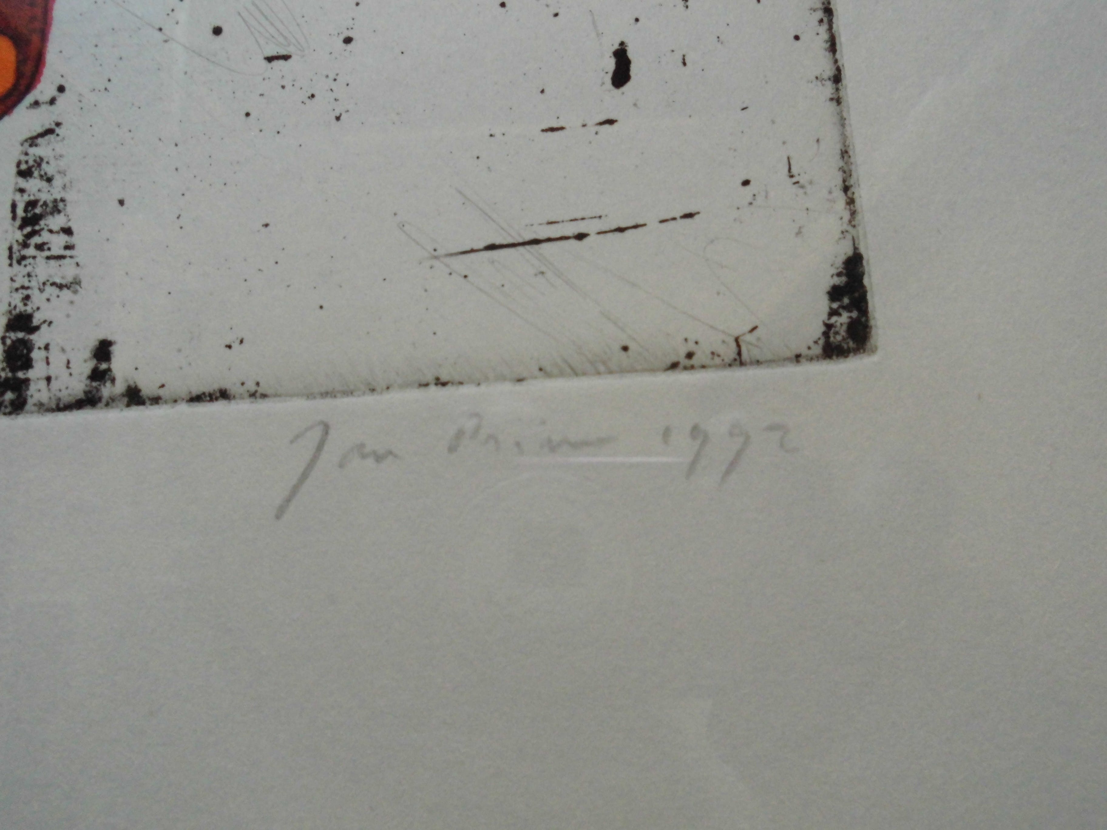 Jan Prins - Ingekleurde Grafiek - Abstract kopen? Bied vanaf 25!