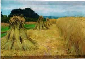 Adrianus Miolee - Oogsttijd Elspeet verkocht voor € 500!