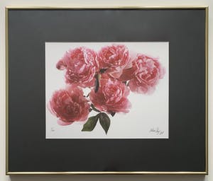 Paul Huf - C-print - 'Peonies' - 1988 (INGELIJST) kopen? Bied vanaf 150!