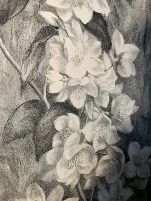 Aart van Dobbenburgh - Dahlia Lithografie - Handgesigneerd r.o. - 1977 kopen? Bied vanaf 60!