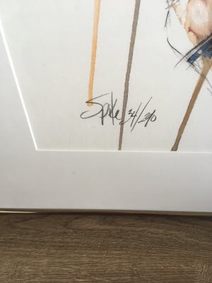 Ortho Owen - Kleurenlitho ‘Spike’ kopen? Bied vanaf 40!