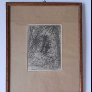 Jan Coenraad Nachenius - Bosgezicht met aloës in Zuid-Afrika - 1921/1922 kopen? Bied vanaf 50!