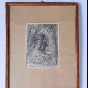 Jan Coenraad Nachenius - Bosgezicht met aloës in Zuid-Afrika - 1921/1922 verkocht voor € 50!