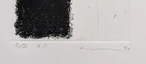 Thomas Ankum - Zonder Titel, ets, oplage 2 ex., 1993 gesigneerd/genummerd, mint kopen? Bied vanaf 55!