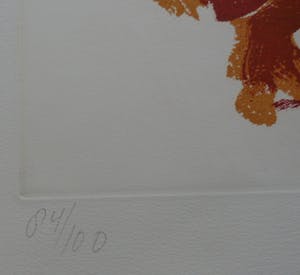 Jan Sierhuis - ets: 1993 (Gelderse grafiekmap) kopen? Bied vanaf 70!