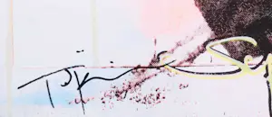 Jörg Döring - Zeefdruk op doek, Marilyn Monroe kopen? Bied vanaf 60!