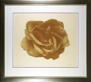 Paul Blanca - Zeefdruk, Marlene II - Ingelijst (Groot) verkocht voor € 80!