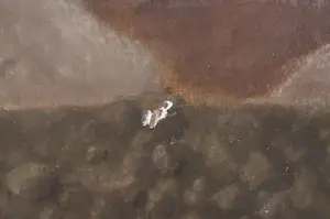 Sjoerd Bras - Olieverf op paneel, De tuin - Ingelijst kopen? Bied vanaf 1!