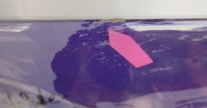 Caterina Germaine Maria Valente - Signierte LP kopen? Bied vanaf 49!