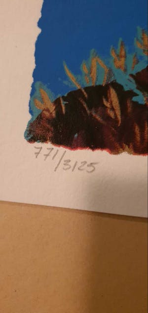 Espen Hagen - 2x Kleurenzeefdruk Indiaan gesigneerd kopen? Bied vanaf 20!