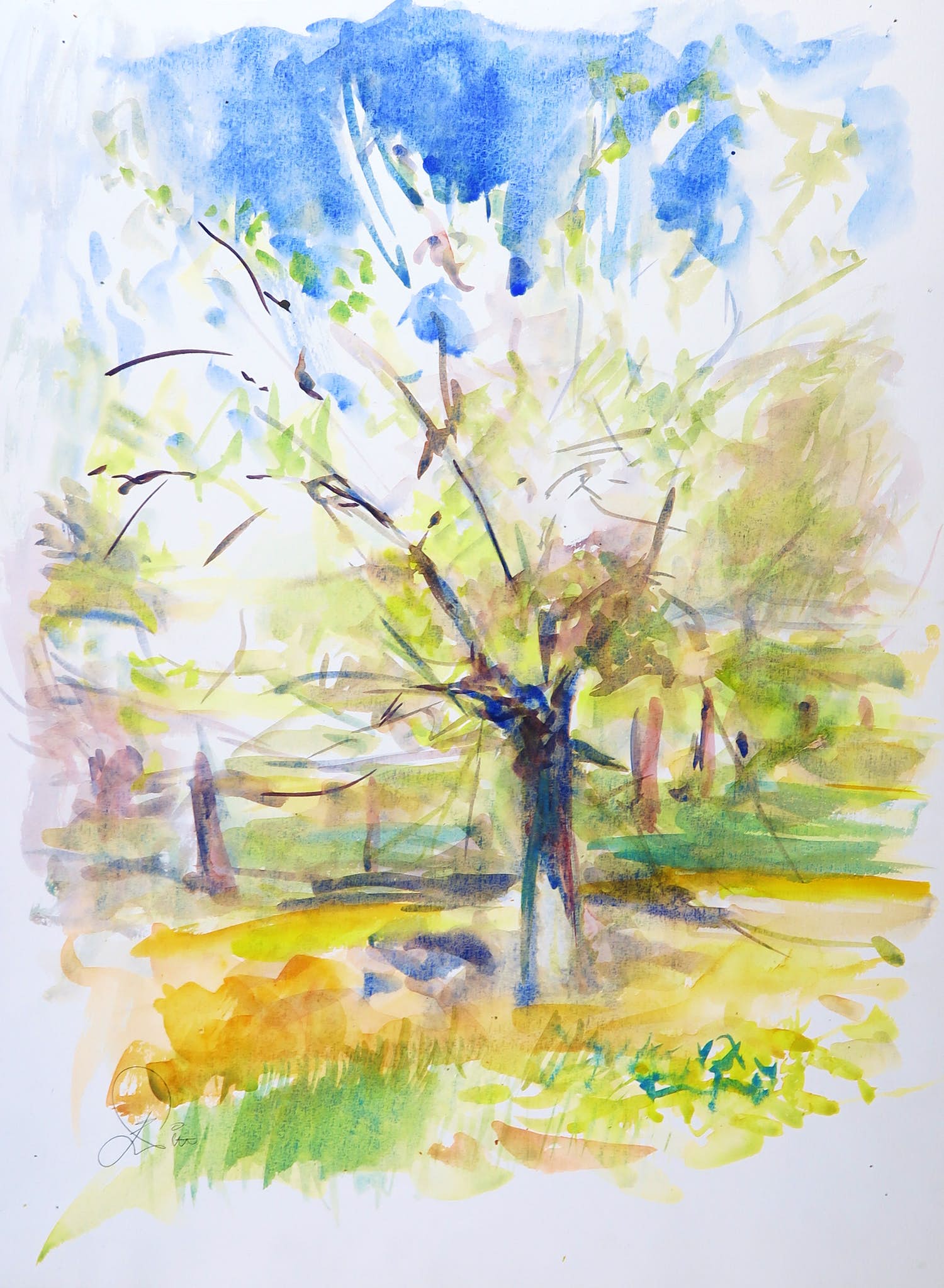 Franscz Witte - Aquarel, Boom kopen? Bied vanaf 1!