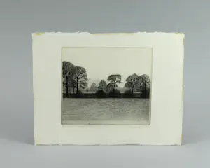 Charles Donker - Landschap in Rhijnauwen (buizerd) kopen? Bied vanaf 300!