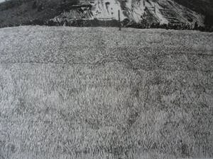 Jan Hein van Rooy - Ets, Borinage, de adelaar van Frameries kopen? Bied vanaf 40!